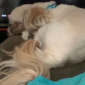 Meet your Posher, Tammy